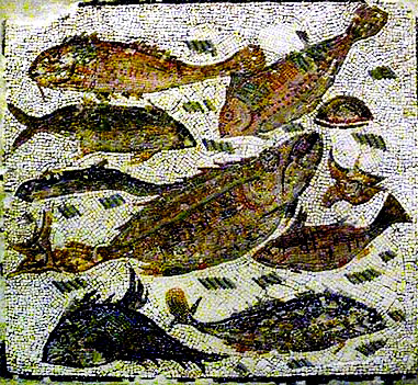 Allevamento e consumo del pesce antica Roma
